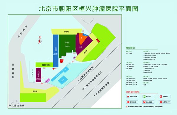 黄片日B视频黄色日B视频北京市朝阳区桓兴肿瘤医院平面图